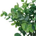 Floristik24 Branches d&#39;eucalyptus artificielles plantes artificielles vertes 34cm 6pcs