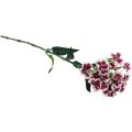 Floristik24 Oeillet barbu fleur artificielle oeillet blanc violet 52cm