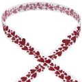 Floristik24 Ruban cadeau ruban décoratif coeurs rouges 25mm 18m
