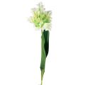 Floristik24 Fleur artificielle perroquet tulipe artificielle vert blanc 69cm