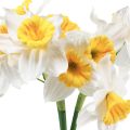 Floristik24 Jonquilles artificielles Fleurs en soie blanche Jonquilles 40cm 3pcs