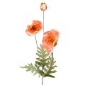Floristik24 Fleurs artificielles fleurs en soie coquelicots décoration 75cm