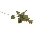 Floristik24 Branche d&#39;eucalyptus branche décorative artificielle vert 60cm