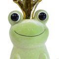 Floristik24 Grenouille déco, prince grenouille, décoration printanière, grenouille avec couronne dorée vert clair 40,5cm