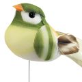 Floristik24 Oiseau en plumes sur fil oiseau décoratif avec plumes vert orange 4cm 12pcs