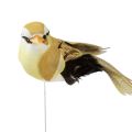 Floristik24 Oiseau en plumes sur fil oiseau décoratif avec plumes vert 4cm 12pcs