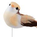 Floristik24 Oiseau en plumes sur fil, oiseau décoratif avec plumes orange marron 4cm 12pcs