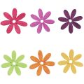 Floristik24 Décoration de table fleurs en bois décoration d&#39;été colorée Ø4cm 72pcs