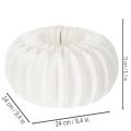 Anneaux en papier alvéolé en forme de citrouille, ronds, de grande taille (24 cm), pour fleurs séchées et décorations d'automne (lot de 4). | Floristik24.be