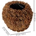 Jardinière décorative avec pommes de pin, aspect naturel, 27 cm. Pot rond en pommes de pin, brun naturel, fabriqué à partir de pommes de pin, 27 cm x 22 cm. | Floristik24.be