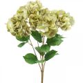 Floristik24 Bouquet d&#39;hortensias artificiels vert, marron 5 fleurs 48cm