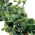 Floristik24 Guirlande d&#39;eucalyptus artificiel guirlande décorative vert 150cm
