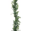 Floristik24 Guirlande d&#39;eucalyptus artificiel guirlande décorative vert 150cm