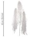 Branche d'hiver artificielle blanche à l'aspect givré et enneigé, 70 cm | Floristik24.be