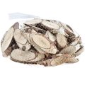 Floristik24 Tranches de bois de bouleau tranches de bouleau ovales 4-9cm 450g