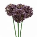 Floristik24 Allium déco artificiel Violet Ø7cm H58cm 4pcs