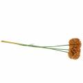 Floristik24 Oignon décoratif Allium artificiel orange 70cm 3pcs