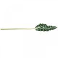 Floristik24 Flèche artificielle feuille plante artificielle alocasia déco vert 74cm