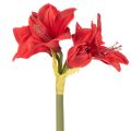 Fleur d'amaryllis rouge artificielle avec tige, décoration florale pour Noël, 50 cm | Floristik24.be