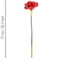 Amaryllis artificielle rouge à longue tige, pour vase et composition florale, 77 cm | Floristik24.be