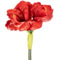 Amaryllis artificielle rouge à longue tige, pour vase et composition florale, 77 cm | Floristik24.be