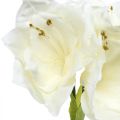 Floristik24 Fleur artificielle amaryllis chevalier blanc étoile décoration de Noël H40cm