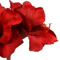 Floristik24 Amaryllis artificiel grand rouge 96,5cm