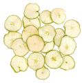 Floristik24 Tranches de pommes vertes 500g