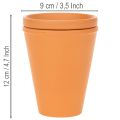 Réservoir d'eau Aquasafe avec fontaine à insectes pour jardin, balcon, terrasse, 12 cm, lot de 3 | Floristik24.be