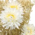 Bouquet artificiel asters et gypsophile beige, blanc 43cm
