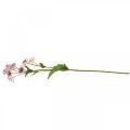 Floristik24 Grande Fleur Artificielle Astrania Artificielle en Soie Blanc Rose L61cm