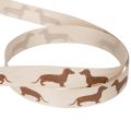 Ruban cadeau à motif teckel pour loisirs créatifs, 15 mm x 18 m | Floristik24.be