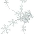 Floristik24 Ruban satin Ruban de Noël flocon de neige blanc 25mm 5m