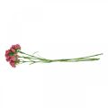 Floristik24 Artificielle Sweet William Pink fleurs artificielles oeillets 55cm lot de 3pcs