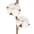 Branche de coton artificielle