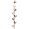 Branche de coton artificielle