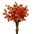 Floristik24 Bouquet de baies orange L20cm