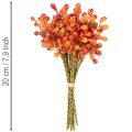 Grappe de baies orange, 20 cm de long | Floristik24.be