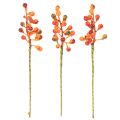 Grappe de baies orange, 20 cm de long | Floristik24.be