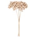 Branche de baies artificielles, décoration couleur champagne, 28 cm, lot de 3 | Floristik24.be