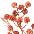 Branche de baies artificielles, décoration automnale réaliste, 68 cm | Floristik24.be
