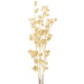 Floristik24 Branche de baies artificielles décorative, dorée, 70 cm, lot de 3