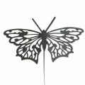 Floristik24 Bouchon fleur métal papillon noir 10.5×8/44cm 3pcs