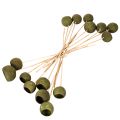 Cloche en forme de coupe sur tige, verte, fleurs exotiques séchées, 5 cm, 15 pièces | Floristik24.be