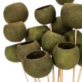 Cloche en forme de coupe sur tige, verte, fleurs exotiques séchées, 5 cm, 15 pièces | Floristik24.be