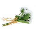 Floristik24 Bouquet Bellis blanc 24cm 3pcs