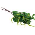 Floristik24 Plantes artificielles branches artificielles décoration de branche de bouleau 65cm 3pcs