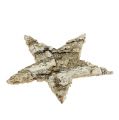 Étoiles de bouleau 6cm 100 pièces | Floristik24.be