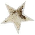 Floristik24 Bouleau étoiles enneigement naturel 9cm 15pcs