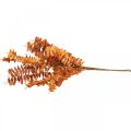 Floristik24 Plantes artificielles décoration automne branche artificielle feuilles orange 46cm